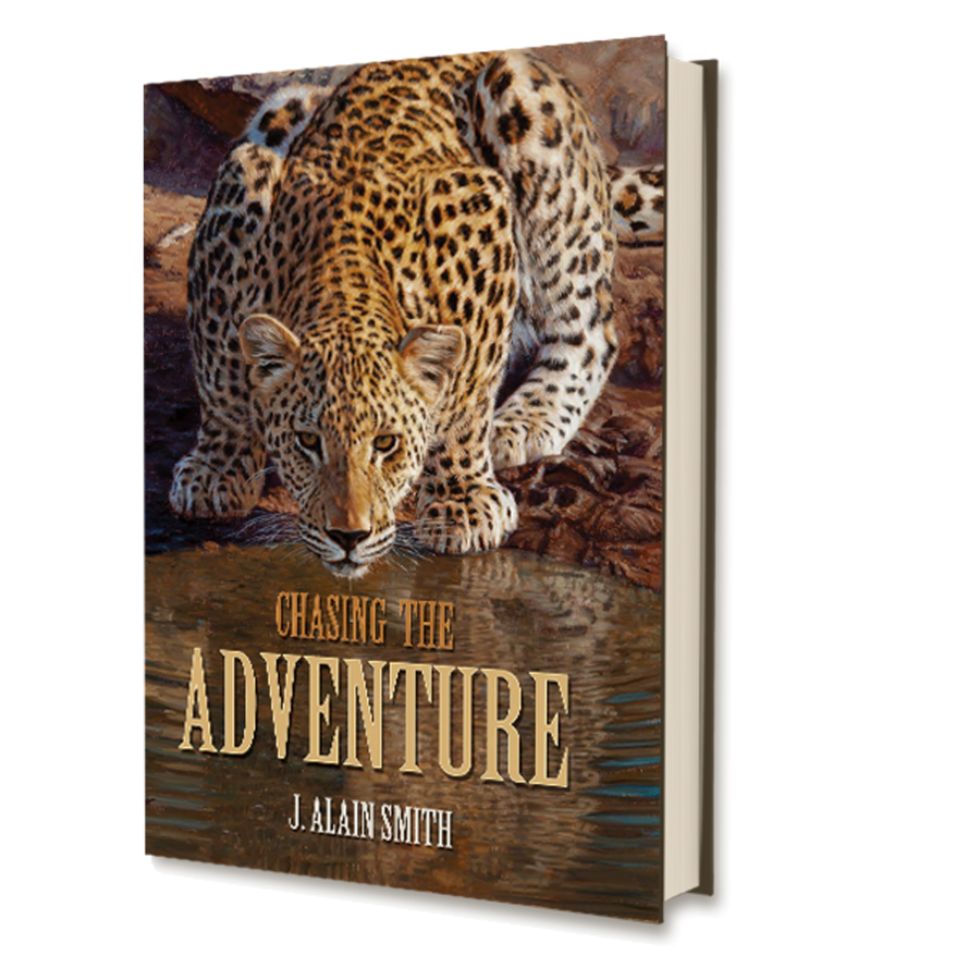 Chasing the Adventure