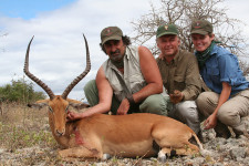 east-african-impala