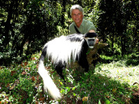 ethiopian-colobus-monkey