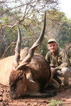 giant-eland
