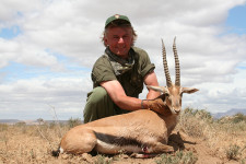 thompson-gazelle