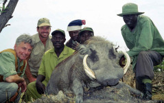warthog