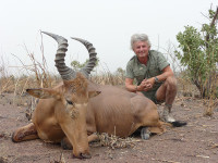 western-hartebeest