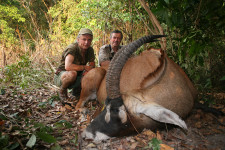 western-roan