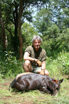 yellow-backed-duiker