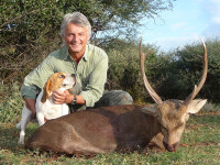 hog-deer-and-dog-that-found-it-dead
