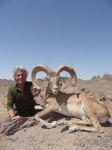 kerman-sheep-from-iran