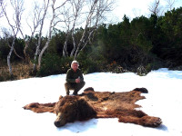 the-skin-of-my-huge-russian-brown-bear
