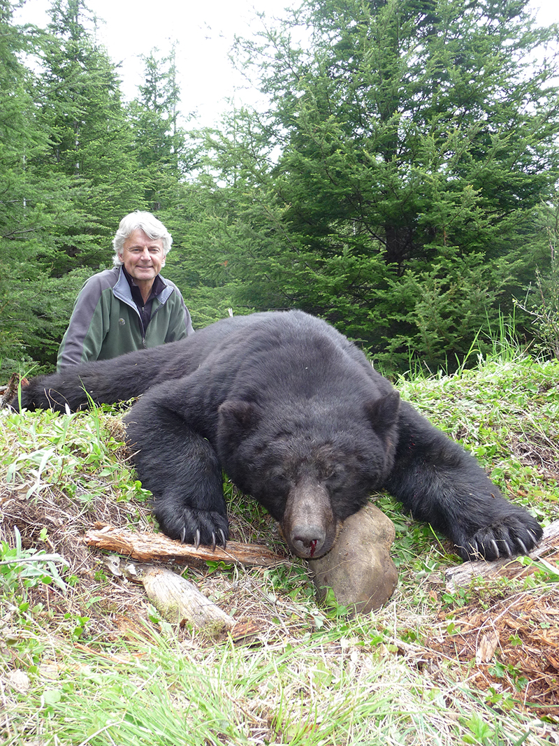 vancouver-island-black-bear